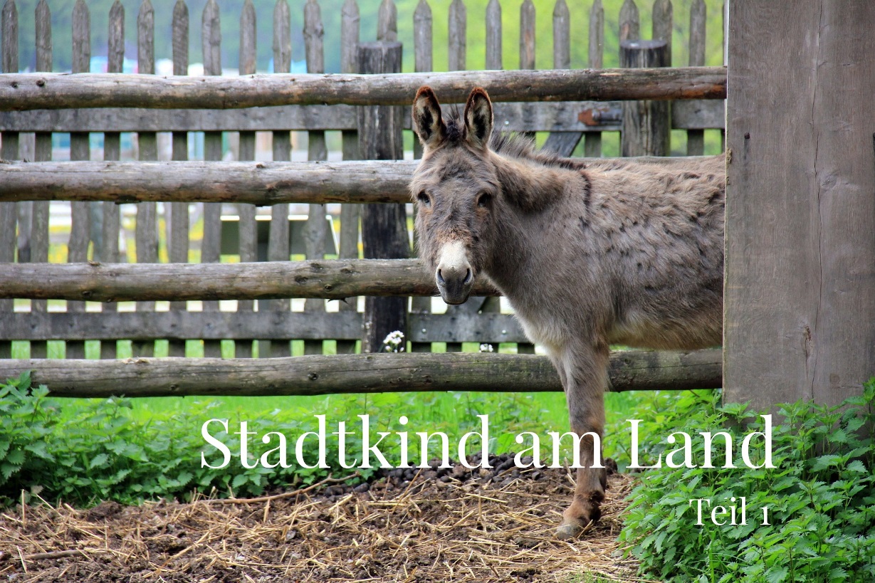 Ein Stadtkind am Land - so lustig ist es, wenn Großstadtkinder Urlaub am Bauernhof machen.