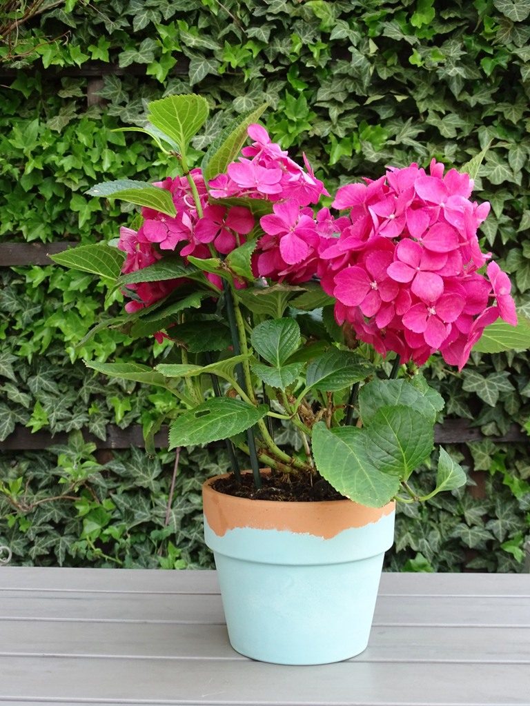 Besprühe Deine Terracotta-Blumentöpfe im Garten mit Kreidefarbe.