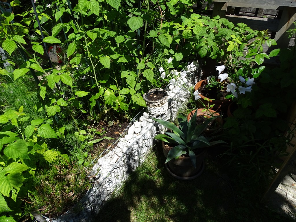 Gabione als Beetbegrenzung bauen VLIKEVERONIKA DIY. UPCYCLING