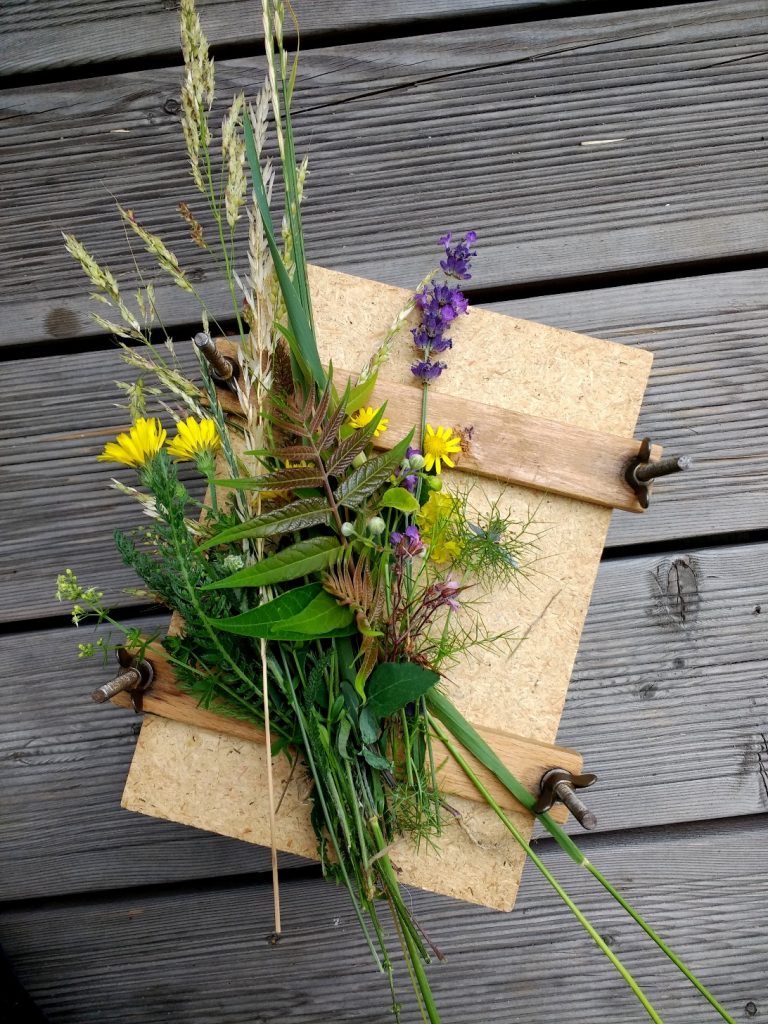 So funktioniert eine Pflanzenpresse: lege die Blumen und Gräser zum pressen zwischen die Holzplatten.