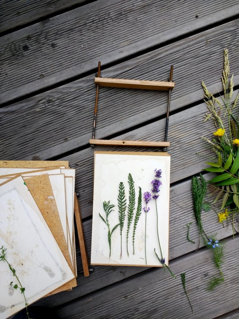 Blumen und Gräser zu pressen ist ein tolles Natur-DIY für den Sommer und Herbst.