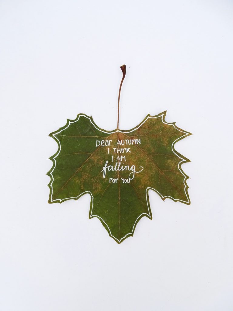 Blätter bemalen: Dear autumn i think i am falling for you