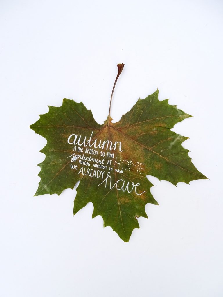 Herbstblätter bemalen: Inspirierende Herbstzitate, die auf ein Platanenblatt passen.