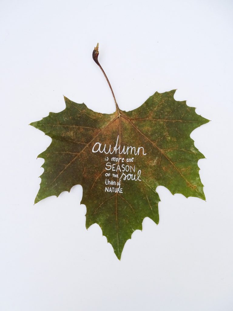 Blätter bemalen: Herbstzitate, die sich für das DIY-Projekt zum Thema Herbst eignen.