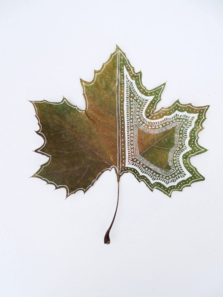 Blätter bemalen: Musterideen für getrocknete Blätter und gepresstes Laub.