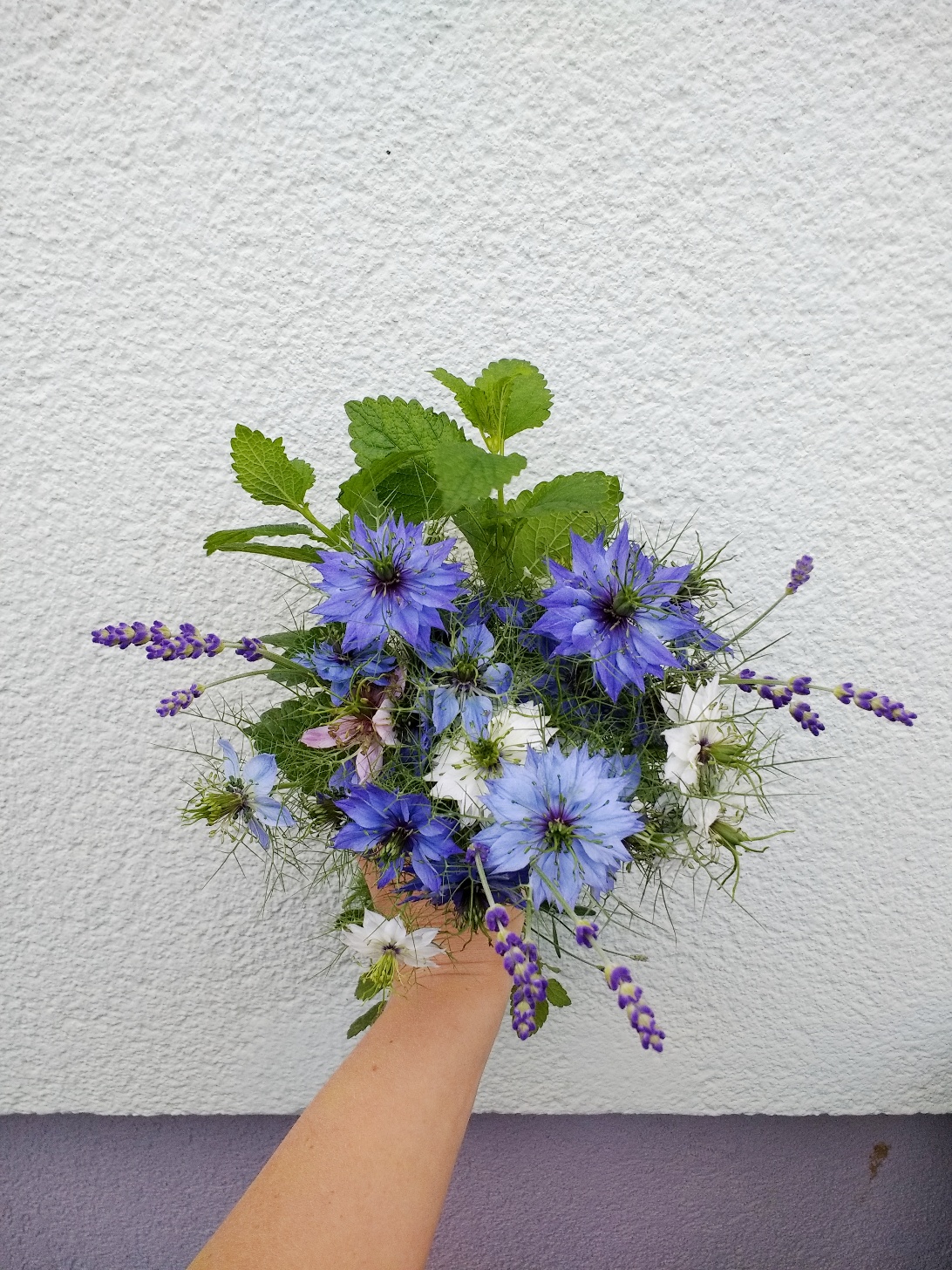 Blumenstrauß mit blauen Blumen: Jungfer im Grünen wächst im wilden Bauerngarten fröhlich und robust vor sich hin