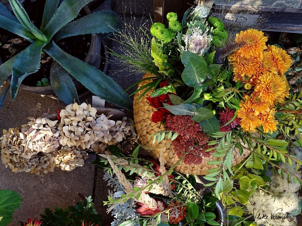 Jede Menge Blumen zum Dekorieren vom Kürbis! So farbenfroh ist der Herbst.