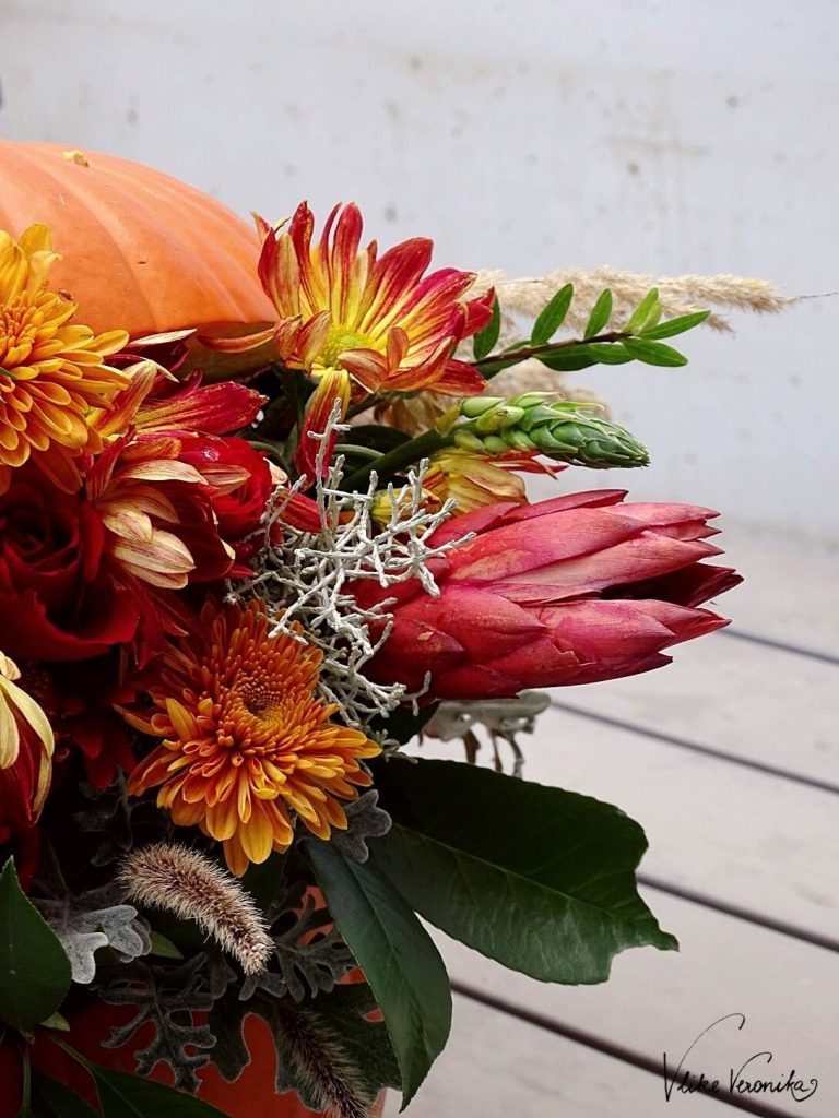 Der Herbst in Bildern: Kürbis und Rot-Orange Blumen gehören dazui.