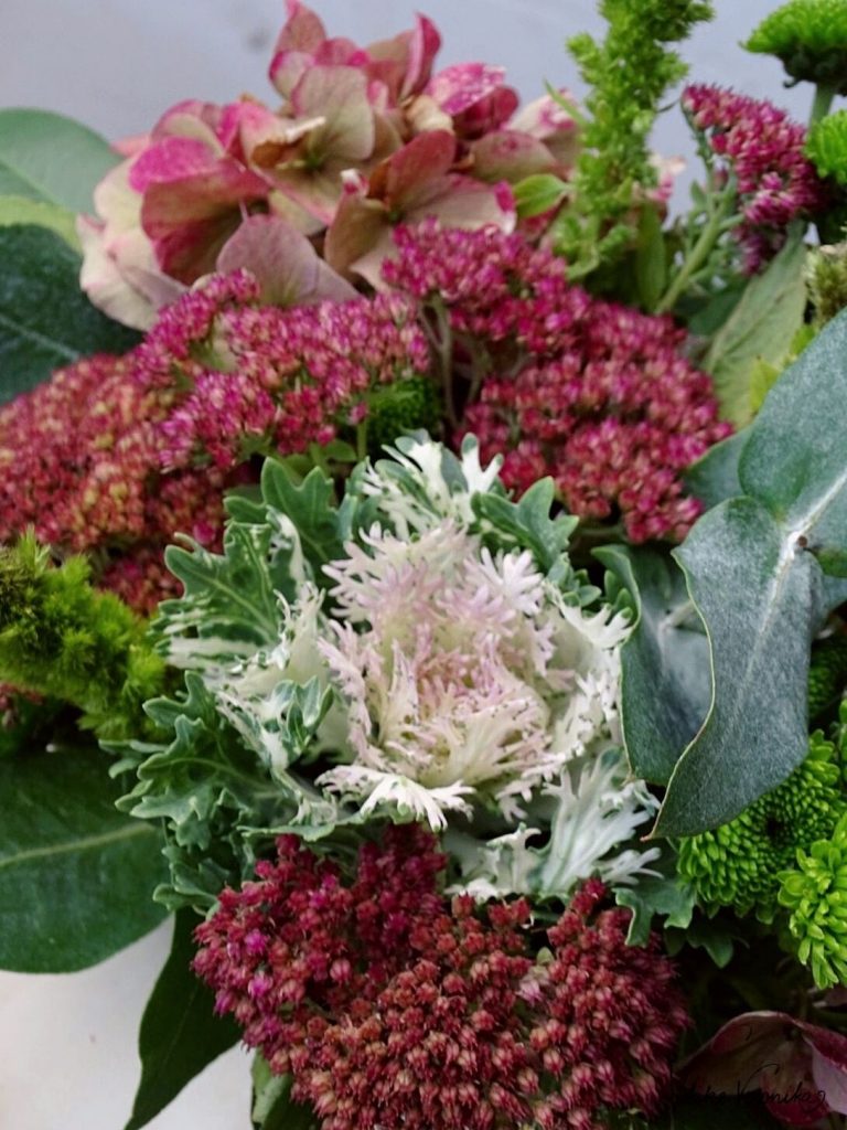 Hortensien, Fetthenne und Zierkohl