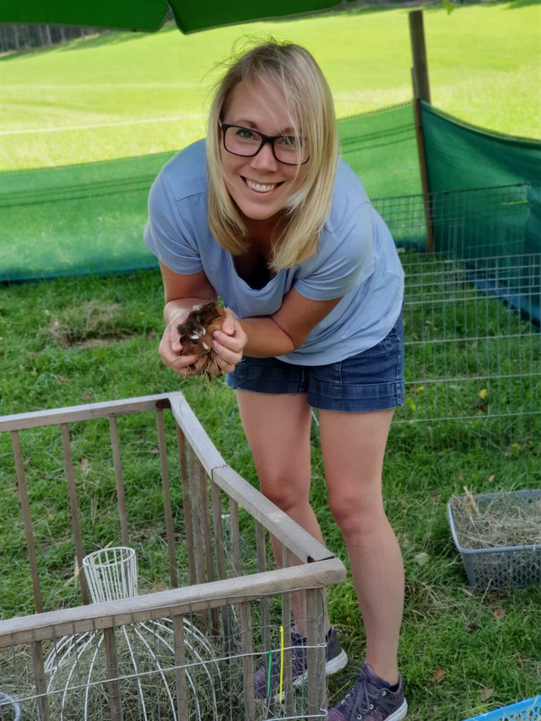 Eine Handvoll Meerschweinchenbabys.