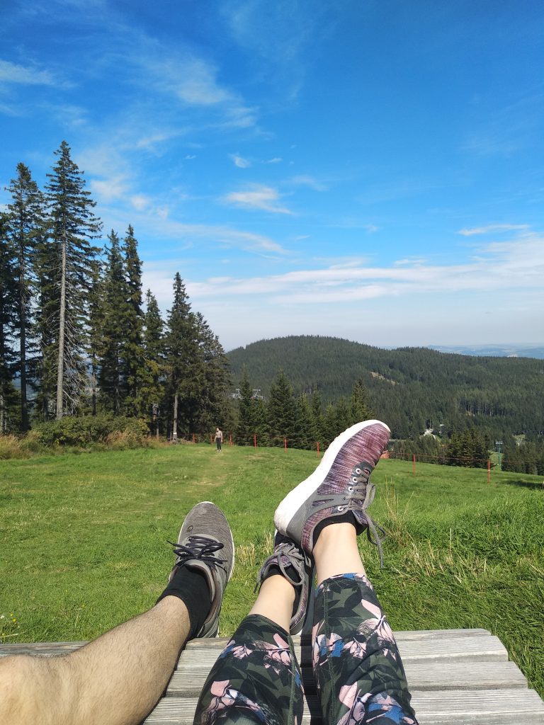 So schön ist der Ausblick vom Gipfel des Schaukelwanderwegs in Mönichkirchen.