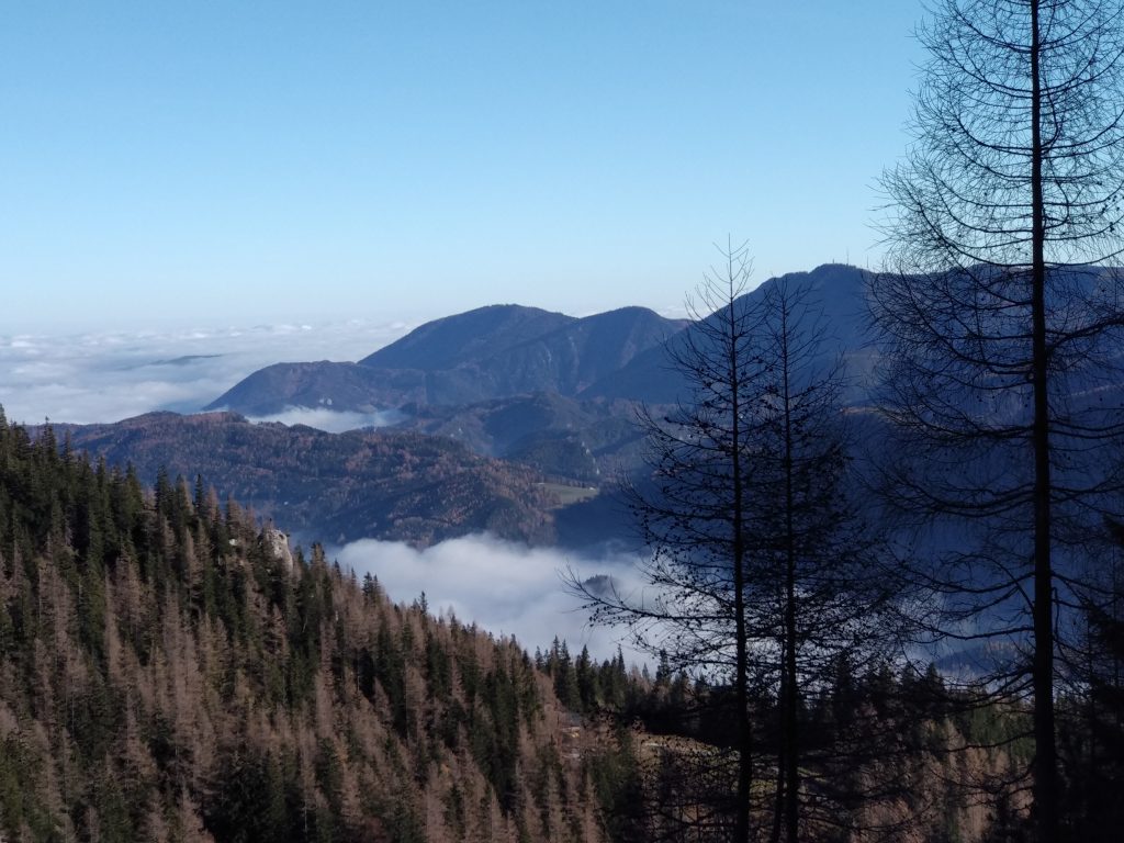 Der Nebel über dem Preiner Gscheid. Schöne Wanderungen für Familien mit Volksschulkindern.