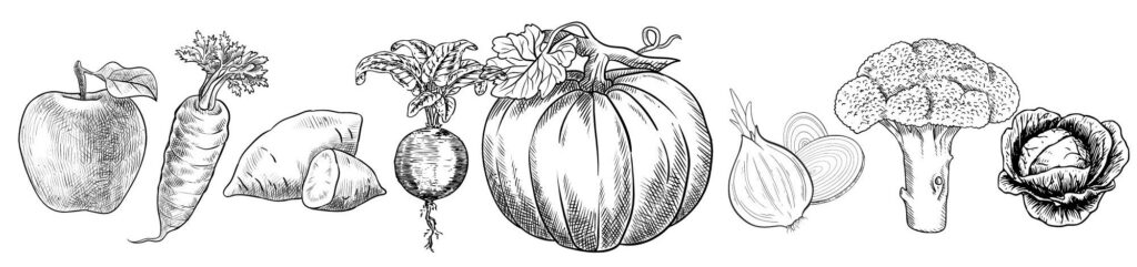 Saisonales Obst und Gemüse im Herbst von September über Oktober bis November