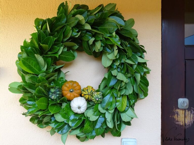 Im Herbst braucht die Lorbeerkirsche einen gründlichen Rückschnitt, mit den Resten kannst Du einen Kirschlorbeerkranz selber binden.