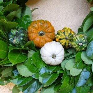 Du willst einen Kirschlorbeerkranz selber binden, um Dein Haus im Herbst zu dekorieren? Dann bist Du hier richtig.